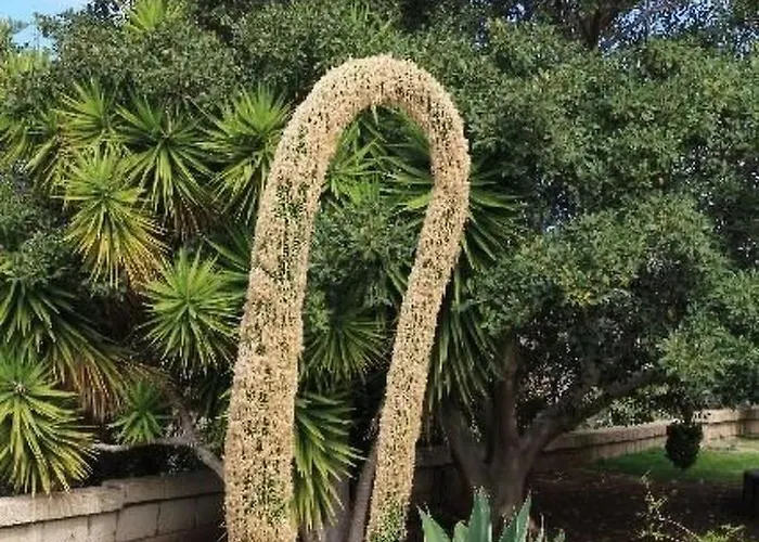 In Guia De Isora- Teneriffa By Interhome