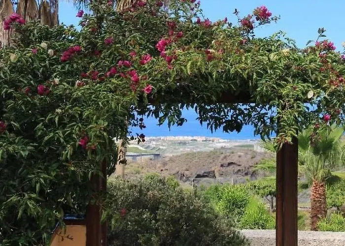 In Guia De Isora- Teneriffa By Interhome Apartment Guia de Isora (Tenerife)